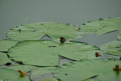 高能电玩节：铁路生存模拟《瘟疫列车》推出全新试玩版